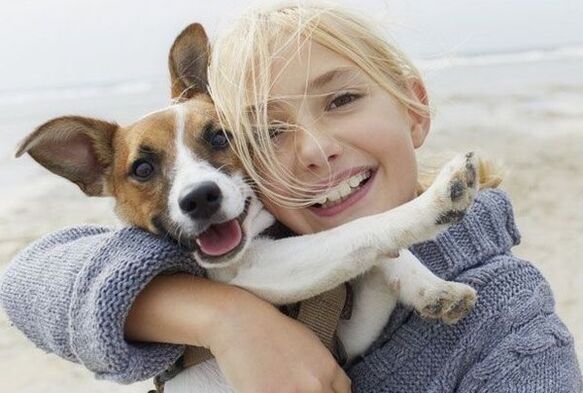 bir köpekten parazit enfeksiyonu