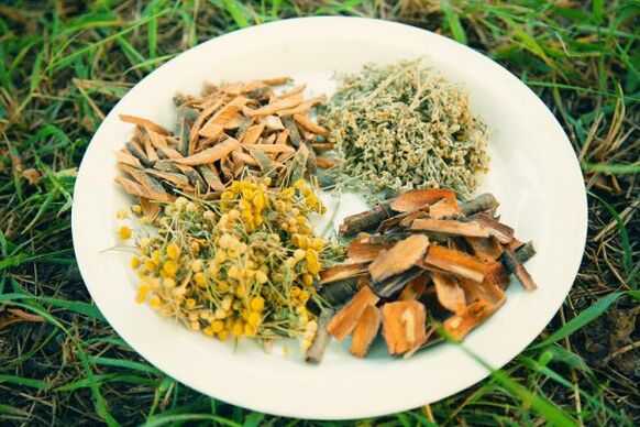 İnsanlarda solucanlar ve parazitler için halk ilaçları